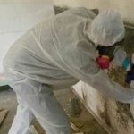 Mould Removal