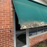 Mould Removal