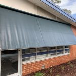 Mould Removal