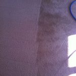 Carpet Cleaning