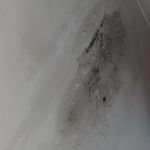 Mould Removal