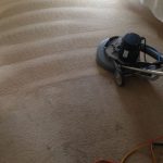 Carpet Cleaning