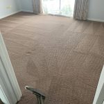 Carpet Cleaning