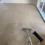 Carpet Cleaning