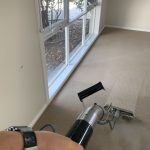 Carpet Cleaning